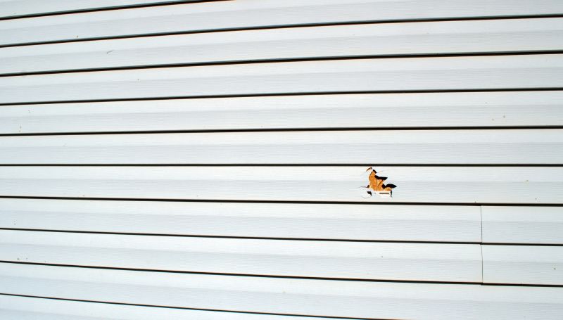Professional Vinyl Siding Repair Service
